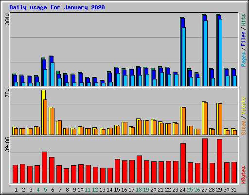 Daily usage for January 2020