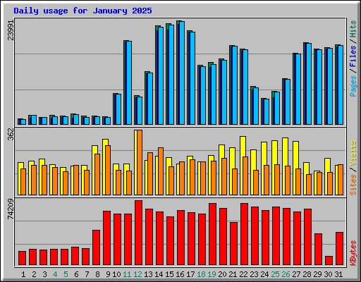 Daily usage for January 2025