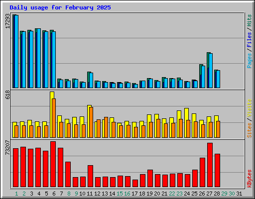 Daily usage for February 2025