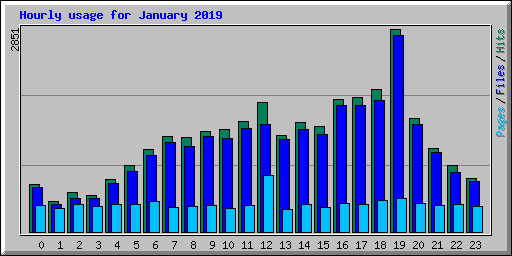 Hourly usage for January 2019