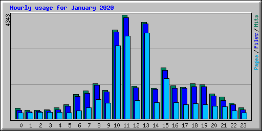 Hourly usage for January 2020