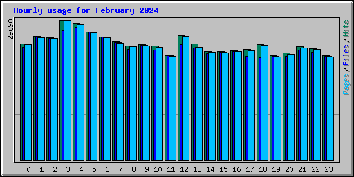 Hourly usage for February 2024