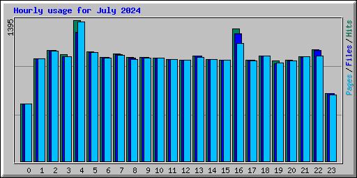 Hourly usage for July 2024