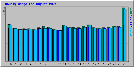 Hourly usage for August 2024