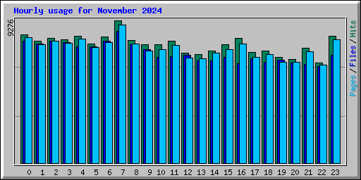 Hourly usage for November 2024
