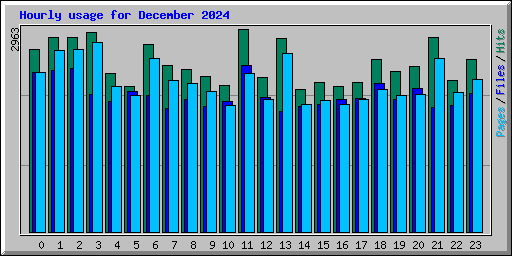 Hourly usage for December 2024