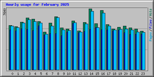 Hourly usage for February 2025