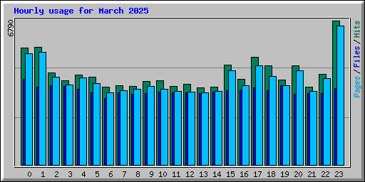 Hourly usage for March 2025
