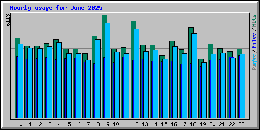 Hourly usage for June 2025