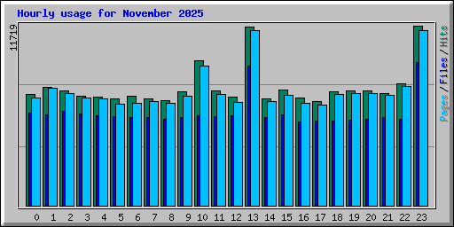 Hourly usage for November 2025